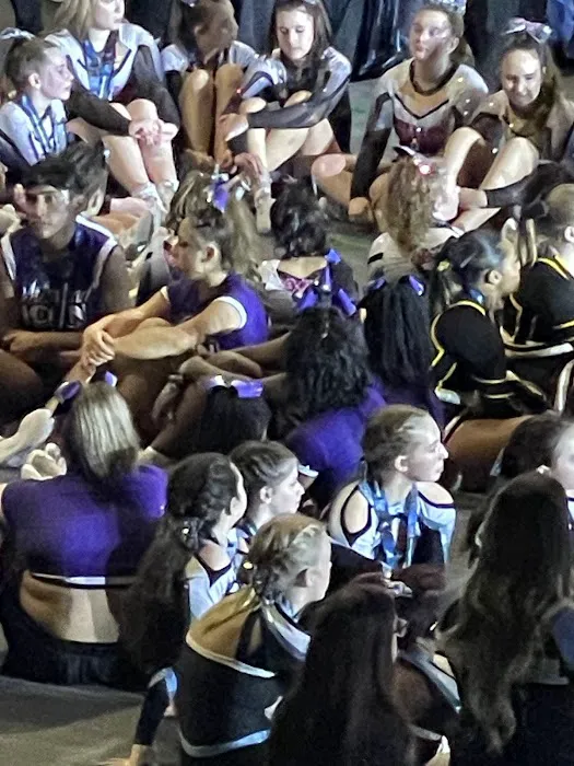 Regal All-Stars LLC Picture 5