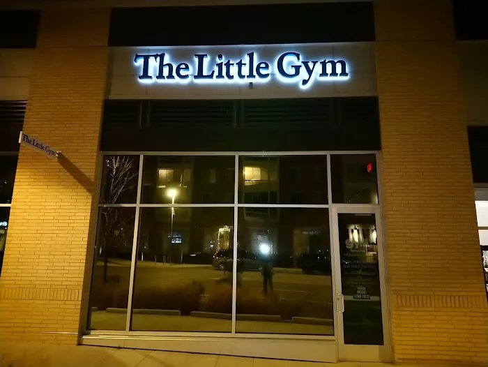 The Little Gym of Columbia, MD Picture 6