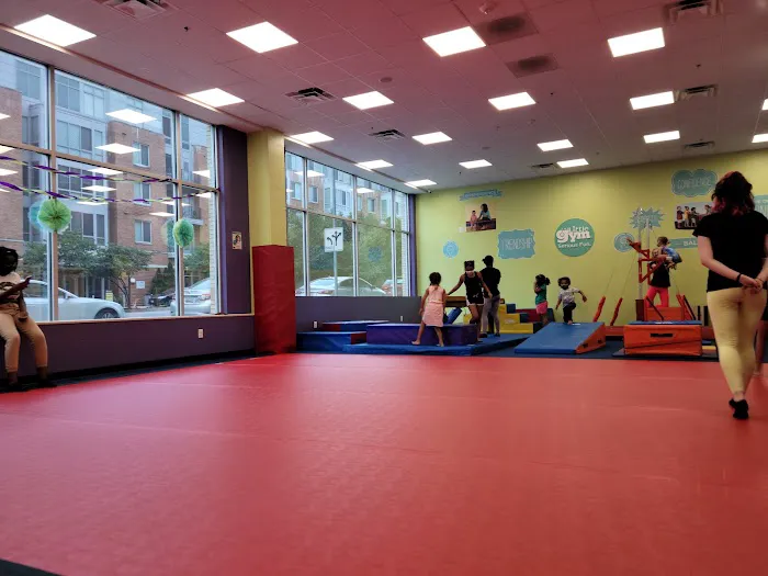 The Little Gym of Columbia, MD Picture 2