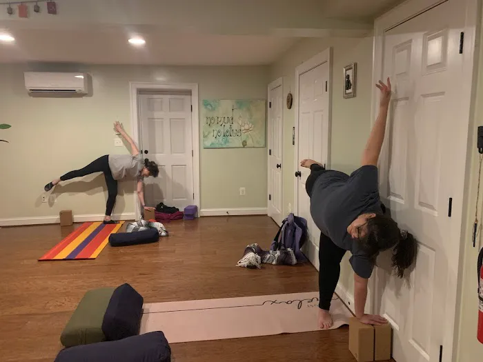 Branches of Yoga Picture 4