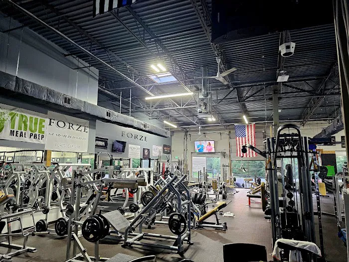 FORZE XXIV TRAINING GYM (For-Zuh) Picture 2
