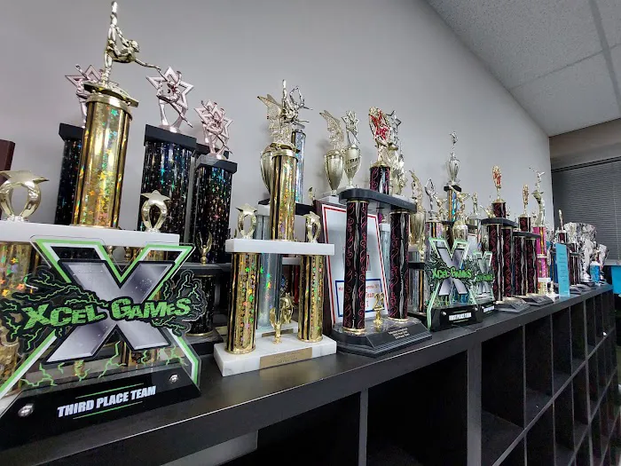 Baltimore County Gymnastics Picture 8