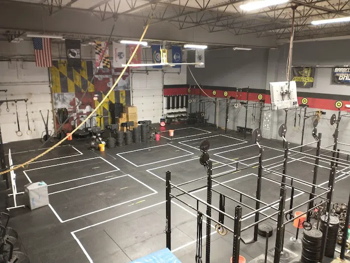Revival Fitness Picture 3
