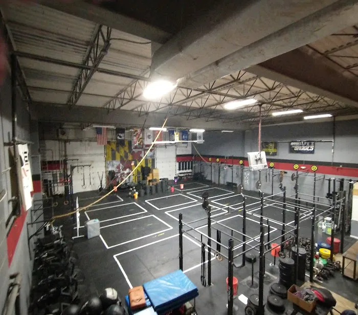 Revival Fitness Picture 4