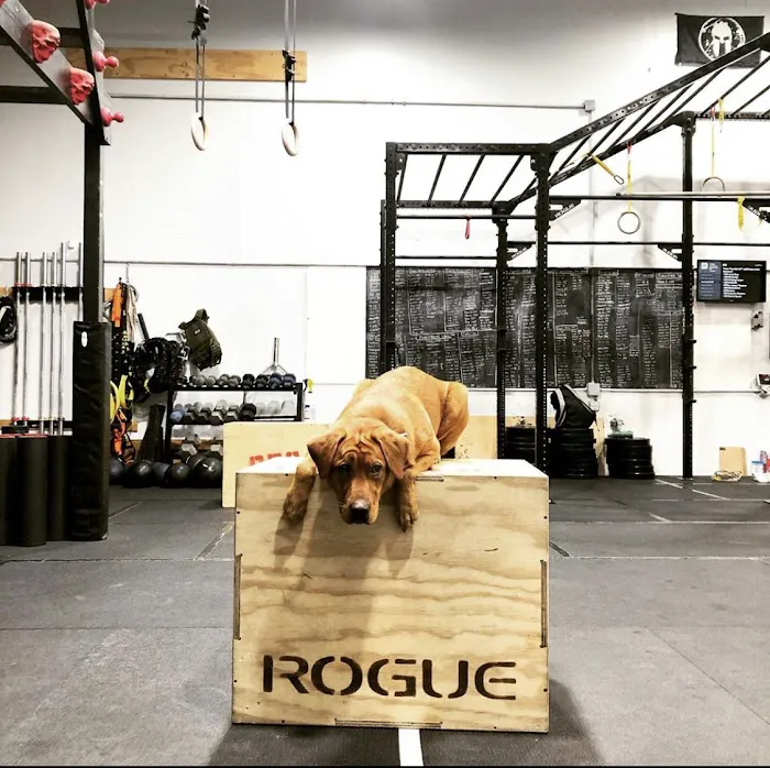 The Endurance Factory Fitness - Home of CrossFit TEF Picture 7