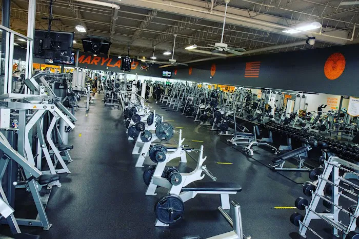 Fitness Evolution Picture 6