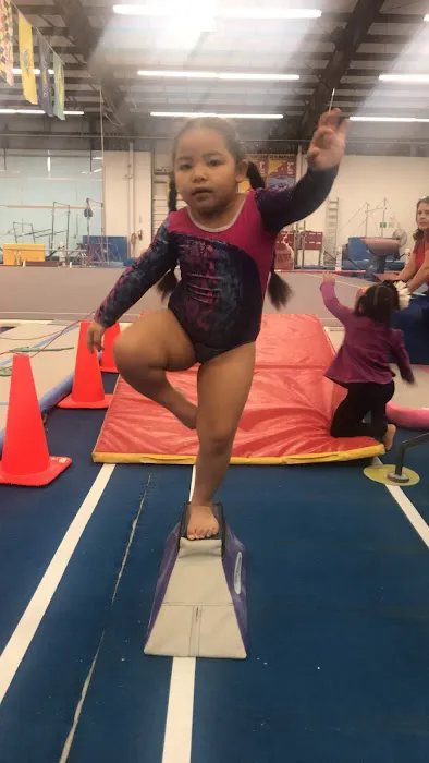 United Gymnastix Picture 5