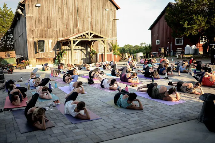 Barre Forward - Barre Studio in Annapolis/Severna Park area Picture 5