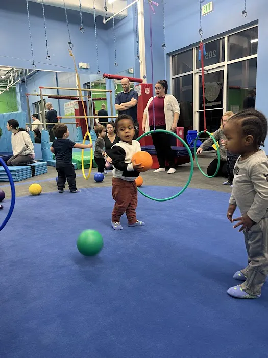 My Gym Children's Fitness Center (Crofton) Picture 5