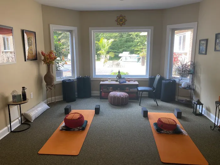 Thriving Yogi Studio Picture 7