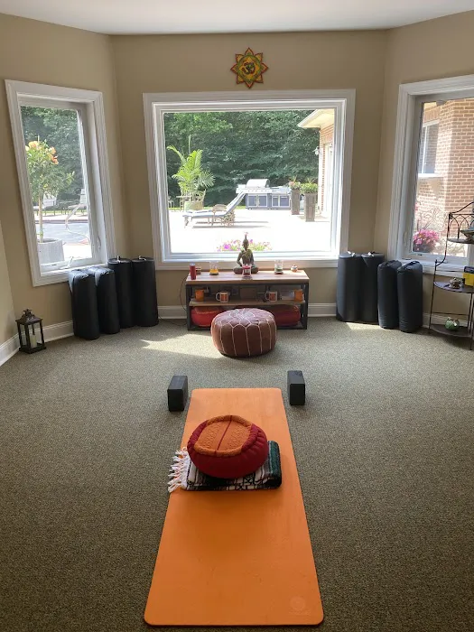 Thriving Yogi Studio Picture 1