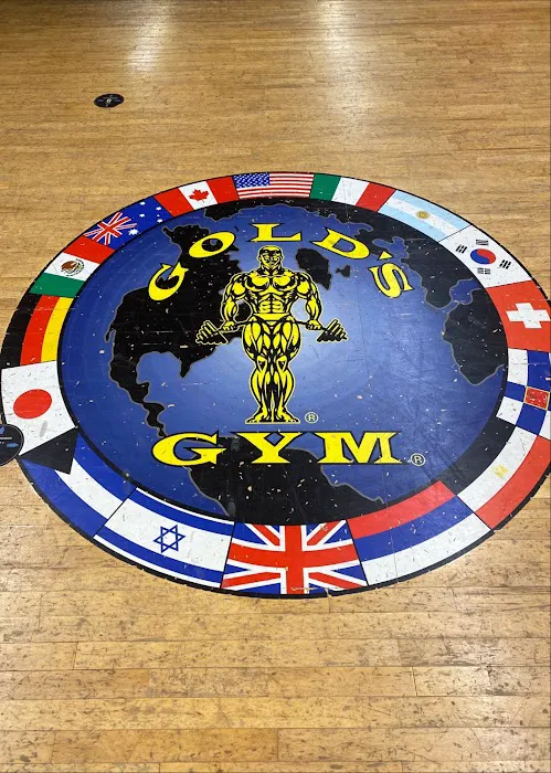 Gold's Gym Picture 3