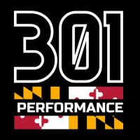 301 Performance ico