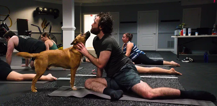 All In Practice Yoga - Jacoby Physical Therapy, LLC Picture 3