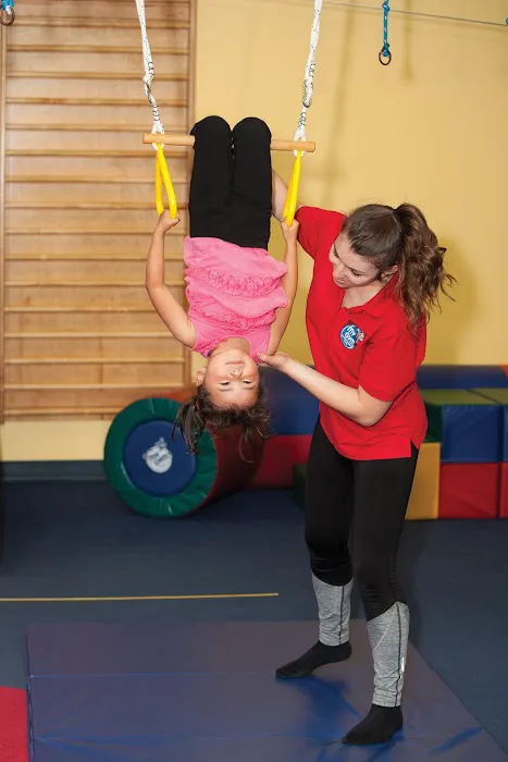 My Gym Children's Fitness Center (Annapolis) Picture 9