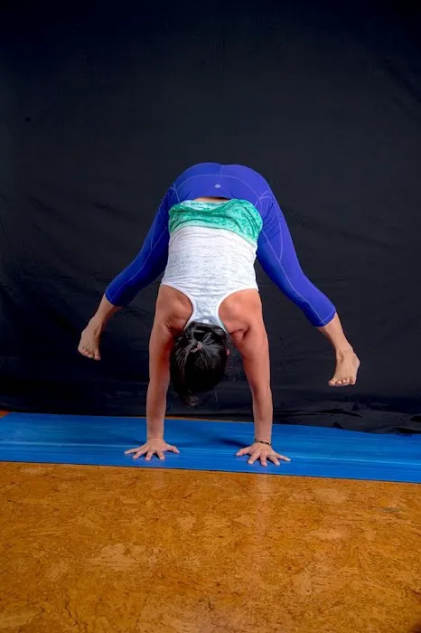 Prana Studio Picture 3