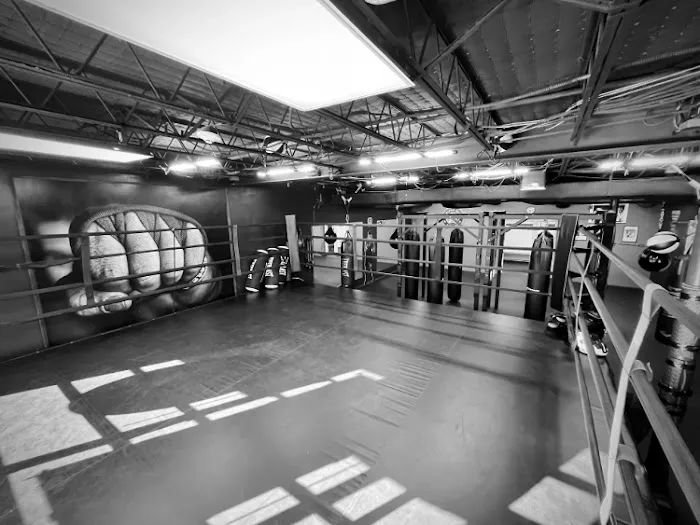 Annapolis Boxing Picture 2