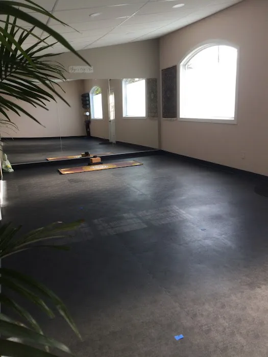 Harford Yoga and Meditation Studio Picture 3