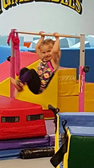 Harford Gymnastics Club Picture 5