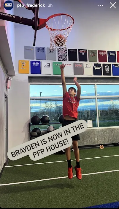 Player's Fitness and Performance Picture 10