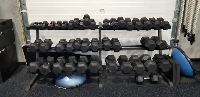 Player's Fitness and Performance Picture 7