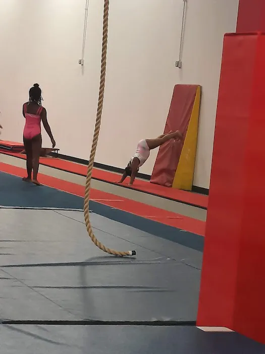 Dominique Dawes Academy Picture 4