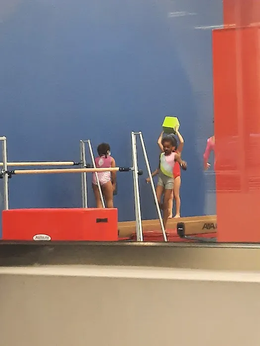 Dominique Dawes Academy Picture 5