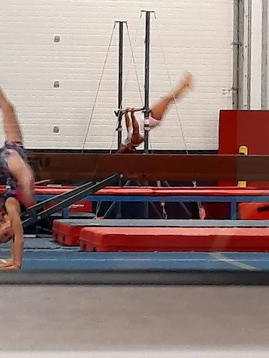 Dominique Dawes Academy Picture 1