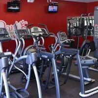 Dani K Gym & Wellness ico