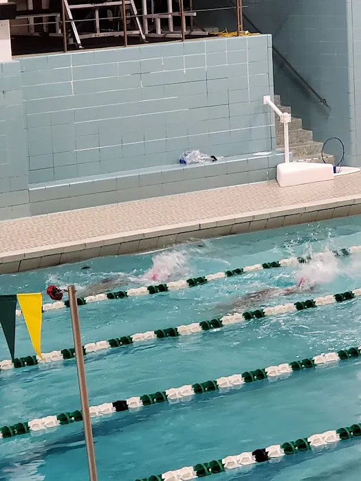 Harlow Pool Picture 1