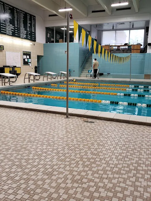 Harlow Pool Picture 5