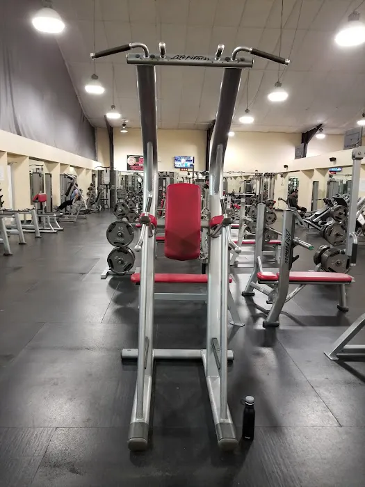 Sport Fit Bowie Picture 1