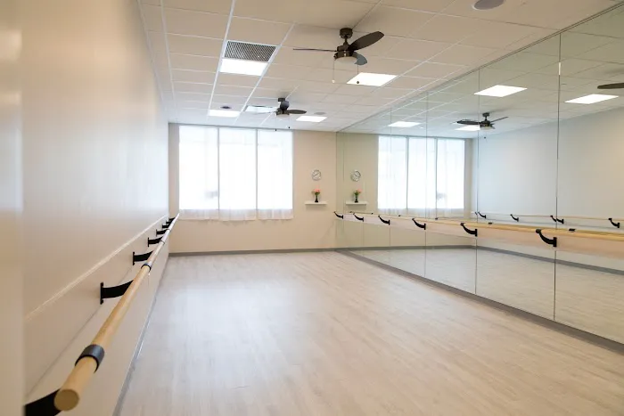 Blue Lotus Yoga Studio Picture 2