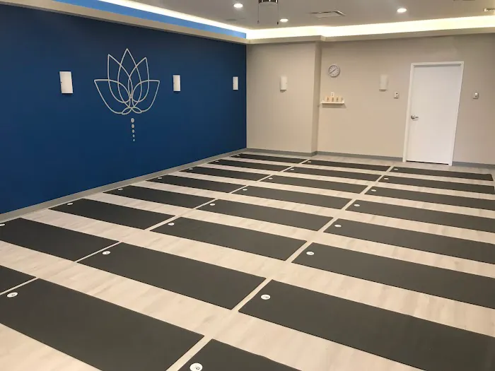Blue Lotus Yoga Studio Picture 3