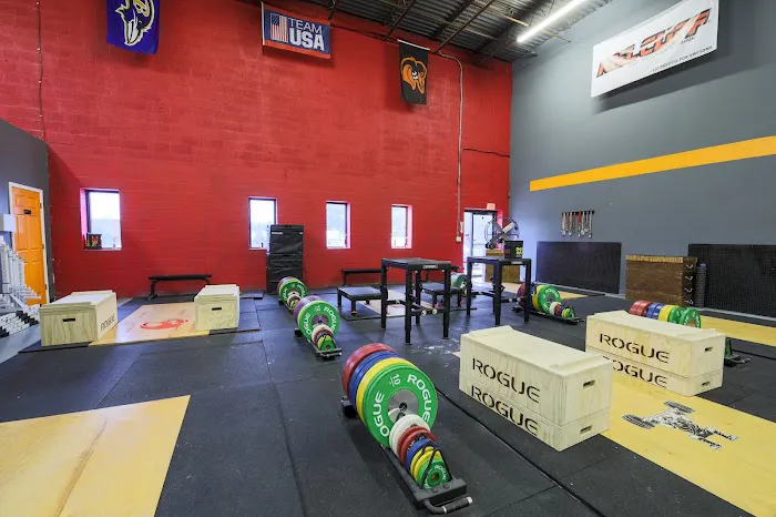 True Sports Physical Therapy Bel Air Picture 2