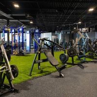 The Other Body Shop ico