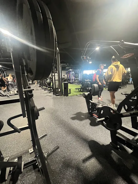 The Other Body Shop Picture 6