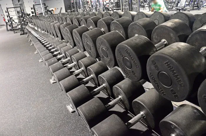 The Other Body Shop Picture 2