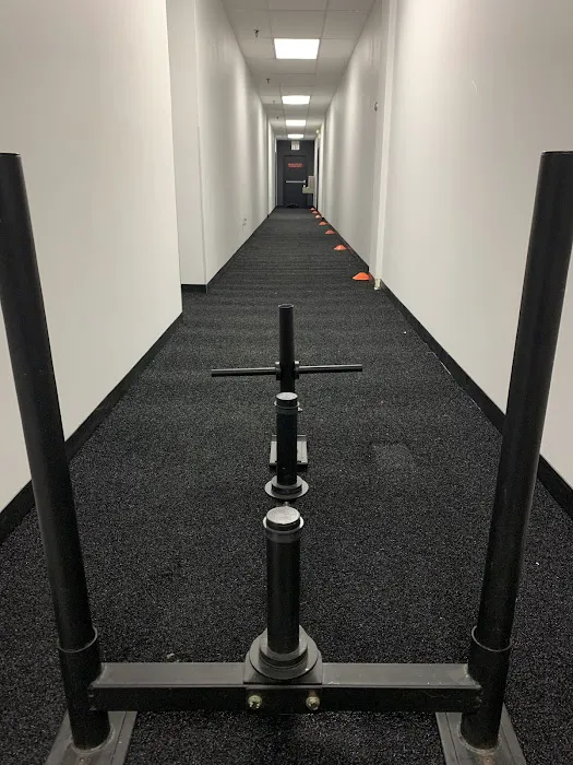 Life Addicts Studio Picture 4