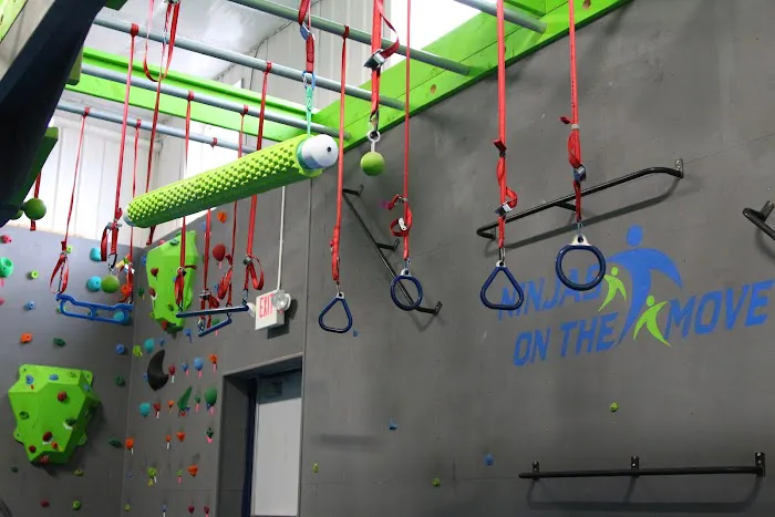 Grand Rapids Gymnastics Picture 2