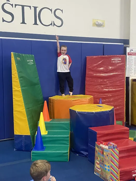 Grand Rapids Gymnastics Picture 10