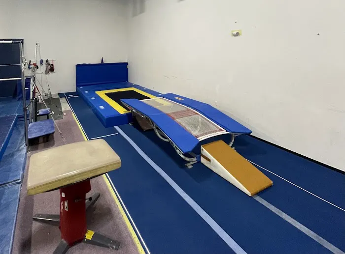 The Grand Rapids Trampoline Academy Picture 1