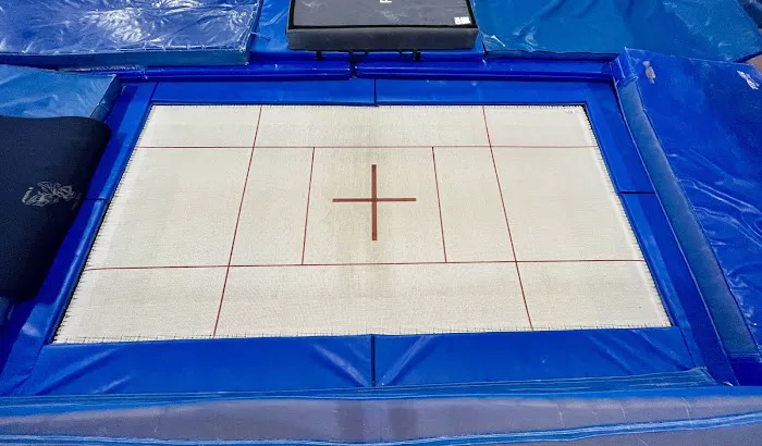 The Grand Rapids Trampoline Academy Picture 4