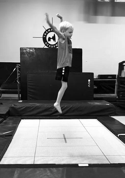 The Grand Rapids Trampoline Academy Picture 6