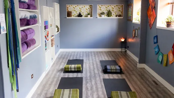 The Grand Rapids Yoga Company Picture 1