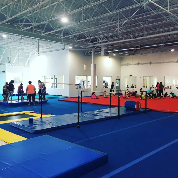 United Gymnastics Academy Picture 2