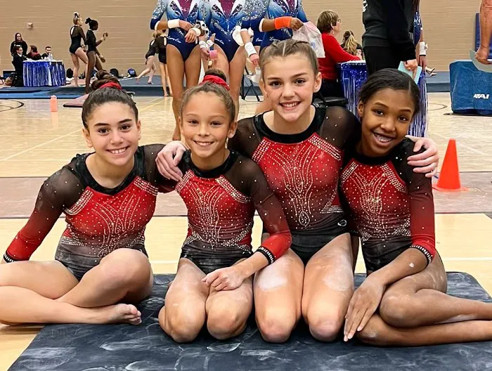 United Gymnastics Academy Picture 6