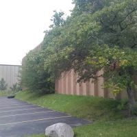 3D School of Gymnastics ico