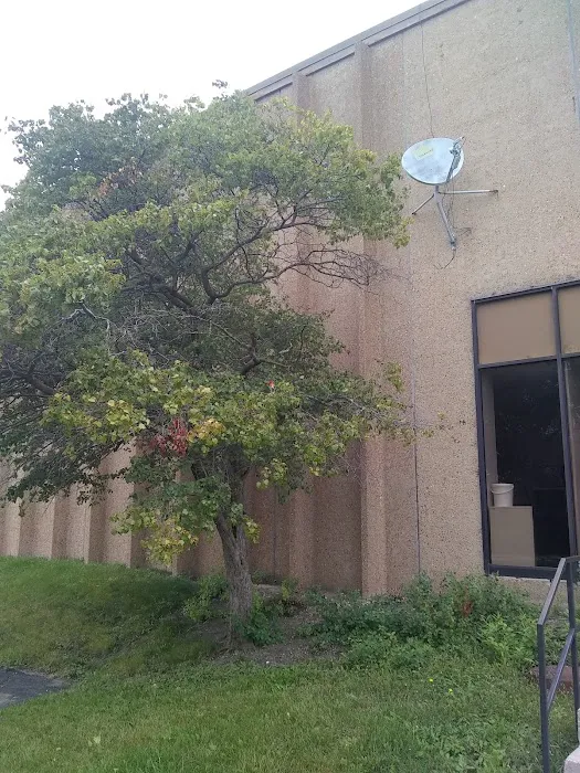 3D School of Gymnastics Picture 3