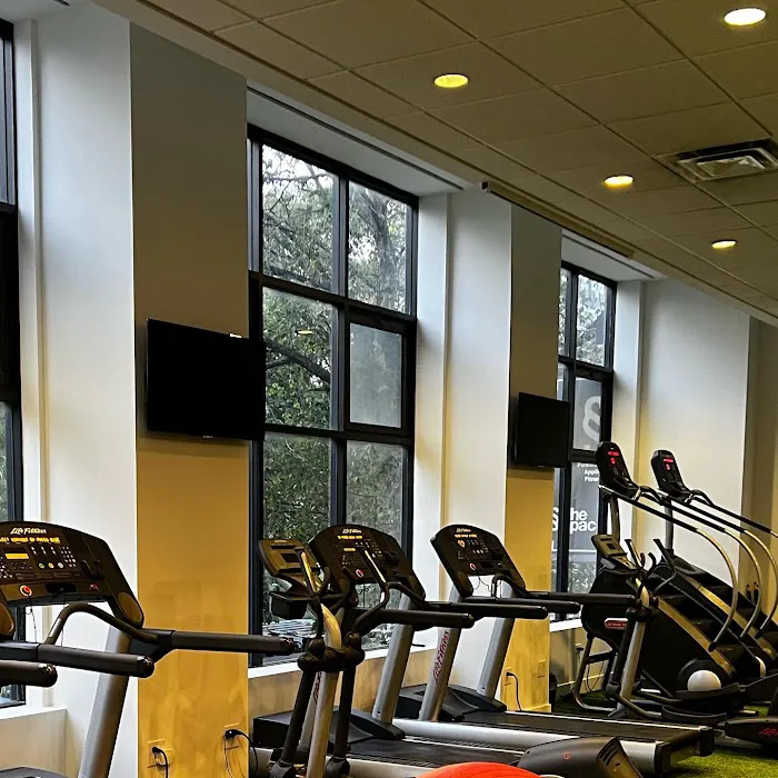 The Space 4.0, Functional Training and Sports Performance Picture 5